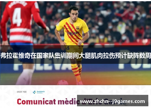 弗拉霍维奇在国家队集训期间大腿肌肉拉伤预计缺阵数周