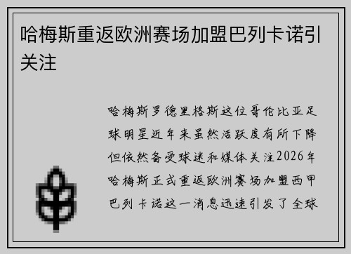哈梅斯重返欧洲赛场加盟巴列卡诺引关注